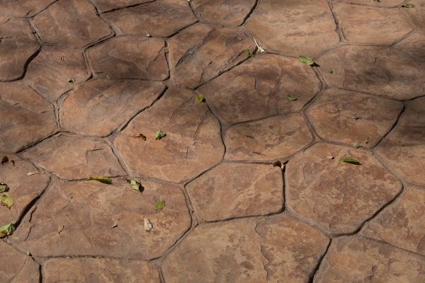 Cost of Concrete Texturing in Decatur